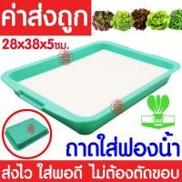 ราคา ค่าส่งถูก ถ้วยปลูกผัก 100ใบ ถ้วยปลูกผักไฮโดรโปนิกส์ ถ้วยปลูกผักไฮโดร ถ้วยปลูกขาว สีขาว แบบใช้ซ้ำ ไฮโดรโปนิกส์ ไฮโดร hydroponic hydro (18463873739)