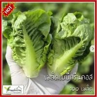 ราคา 100 เมล็ด เบบี้กรีนคอส ผักสลัดเบบี้กรีนคอส Baby Green Cos เมล็ดผักสลัดเบบี้กรีนคอส ผักสลัด เมล็ดผักสลัด กรีนคอส เมล็ดกรีนคอส ผักคอส เมล็ดผักคอส (24271714496)