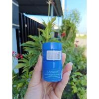 ราคา laneige sleeping mask และ laneige lip mask ขนาดทดลอง (19308823918)