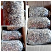ราคา เชื้อเห็ดฟางพร้อมปลูก 3ก้อน59บาท (23808001327)