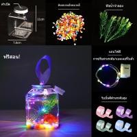 ราคา CANDIES ตู้ปลา โหลพลาสติก โหลปลาทอง โหลปลาหางนกยูง โหลปลากัด LED ตะเกียง ตั้งแผงลอย (25004246031)