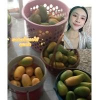 ราคา มะม่วงดิบ มะม่วงสุก น้ำดอกไม้ คุณเปา (24513629385)