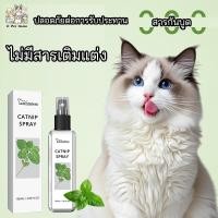 ราคา สเปรย์แคทนิป Catnip Spray แคทนิปสเปรย์ ช่วยลดความเครียดในแมว สูตรธรรมชาติ100 อ่อนโยน ปลอดภัย (24714023896)
