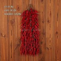 ราคา พริกพวง กระเทียม หอมแดง ผักปลอม ข้าวโพดปลอม อาหารแห้ง สำหรับแขวน ตกแต่งร้านอาหาร แต่งบ้าน แต่งร้านค้า (22700347250)