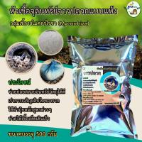 ราคา หัวเชื้อจุลินทรีย์จาวปลวกแบบแห้ง หัวเชื้อจุลินทรีย์แบบแห้ง (24835833512)