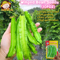 ราคา 10เมล็ด แพ็ค เมล็ดพันธุ์ ถั่วพู Winged Bean Seeds Vegetable Seeds for Planting ถั่วพูยักษ์ ถั่วพูยาว เมล็ดผักสวนครัว เมล็ดถั่วพู F1 เมล็ดพันธุ์ผัก คุณภาพดี ราคาถูก ของแท้ 100 ปลูกง่าย ผักสวนครัว ผักออ