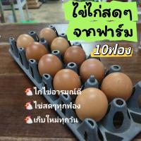 ราคา ไข่ไก่สดๆจากฟาร์ม เก็บทุกวัน ไข่สาว35 45กรัม แพ็ค10ฟอง (22090509522)