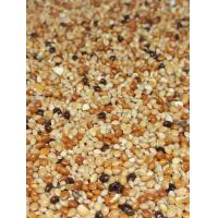 ราคา อาหารนกหงส์หยก มิลเลทรวม 3 สี ข้าวไรย์ น น 1 ก ก เพียง 52 บาท มิลเลทครีม มิลเลทแดง มิลเลทดำ ข้าวไรย์ อาหารสำหรับ นกเขาเล็ก นกเขาใหญ่ หงส์หยก ฟอพัส เลิฟเบิร์ด ฟินซ์ คีรีบูน (21442302237)