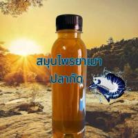 ราคา น้ำหมักสมุนไพรเบื่อเม่า ใบกรวย เปลือกชาก เปลือกมังคุดใบ หูกวาง (25022588820)