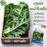 ราคา เมล็ดพันธุ์ บลูเคล เคล คะน้าใบหยิก คะน้าใบหงิก Blue Kale (13575641424)
