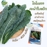 ราคา เมล็ดพันธุ์ ไดโนซอร์เคล เคล คะน้าใบหยิก คะน้าใบหงิก Dinosaur Kale (13575652822)