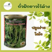 ราคา เมล็ดพันธุ์ ตราภูเขาทอง ถั่วฝักยาวไร้ค้าง ขนาด 60 กรัม (21132879866)