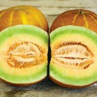 ราคา เมล็ดพันธุ์แตงไทยลูกกลม หอม อร่อย (1406366542)