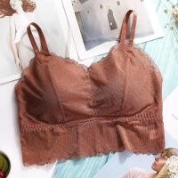 ราคา ชุดชั้นใน บราซีทรู ชีฟอง ชุดชั้นใน ไร้โครง บราซีทรูใส่สบาย เนื้อผ้าดี บราลูกไม้ Free size มี 3 สี พร้อมส่ง (15029725309)