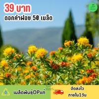 ราคา เมล็ดดอกคำฝอย 50 เมล็ด (21551751835)
