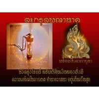 ราคา ตะกรุดพญานาค เมตตา วาสนา ร่มเย็นเป็นสุข ร่ำรวยๆ (9283803963)