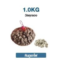 ราคา 1 กิโลกรัม วัสดุกรอง ตู้ปลา หินกรอง หินภูเขาไฟ คาร์บอน ซีโอไลท์ เซรามิคริงค์ สีขาว สีแดง PH aqua ขนาด 1kg ลายละเอียดด้า (24684823816)