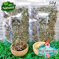 ราคา ชาสมุนไพร ชาหญ้าดอกขาว หญ้าดอกขาวอบแห้ง ขนาด 50 กรัม Dried Little Ironweed (17026875797)