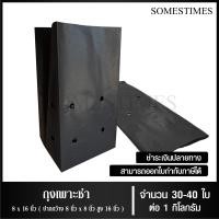 ราคา ถุงเพาะชำ สีดำ เจาะรู ขนาด 2x6 2 5x14 3x7 3x8 8x16 4x9 4x15 5x10 5x12 6x12 7x14 นิ้ว จำนวน 1 กิโลกรัม แพ็ค (22687854686)