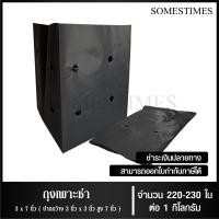 ราคา ถุงเพาะชำ สีดำ เจาะรู ขนาด 2x6 2 5x14 3x7 3x8 8x16 4x9 4x15 5x10 5x12 6x12 7x14 นิ้ว จำนวน 1 กิโลกรัม แพ็ค (22687854678)