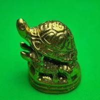 ราคา เต่าเรือน เนื้อทองเหลือง ค้าขาย โชคลาภ ร่ำรวย ไม่อัดกรอบ (5419208131)