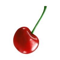 ราคา ตัวรีดติดเสื้อลายเชอรีเชอรี่ สวยๆ 4289 ลูกเชอรี่ เชอรี่สีแดงสด สวยๆ รีดติดง่ายทุกเนื้อผ้า (21636369542)