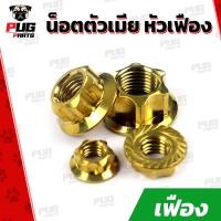 ราคา น็อตตัวเมีย เบอร์ 10 12 14 17 ราคาต่อตัว น็อตตัวเมีย เฟือง เลส ทอง ไทเท น็อตตัวเมียสแตนเลส น็อตตัวเมียเฟือง น็อตเลสแต่ง น็อตเลส (12866647407)
