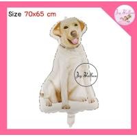 ราคา ลูกโป่งน้องหมา ลูกโป่งสุนัข ส่งเร็วจากกรุงเทพ โกลเด้น ไซบีเรียน ชิวาว่า เท้าน้องหมา กระดูก ตกแต่งงานวันเกิด ปาร์ตี้ (17291747766)