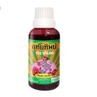 ราคา Utaitip 15ml ยาน้ำอุทัย อุทัยทิพย์ สูตรใหม่ 15 มล 1 ขวด (21938977101)
