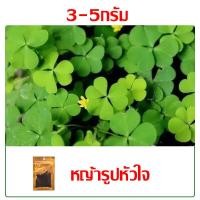 ราคา CoralCove เมล็ด ไม้น้ำ ต้นไม้น้ำ ต้นไม้ปลูกในน้ำ ของตกแต่งตู้ปลา ของประดับตู้ปลา ต้นไม้ใส่ตู้ปลา ถุง 5 กรัม (23469878913)