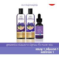 ราคา แชมพูปลูกผมชบา แชมพู 1 ครีมนวด 1 โทนิคชบา 1 แชมพูลดผมร่วง เร่งผมยาว เซรั่มปลูกผม ปลูกคิ้ว หนวด (24188432055)