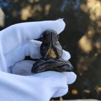 ราคา พระปิดตา หลวงพ่อครน วัดบางแซะ พิมพ์เข่ากว้างมีหู เนื้อผงคลุกรัก องค์พระมีรอยจาร รอบองค์ พุทธคุณทางเมตตา (17162892635)