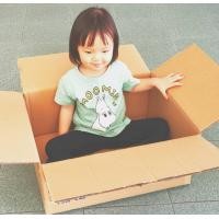 ราคา กล่องลัง กล่องลูกฟูก 46 54 25 cm Pack10 ชิ้น กล่องกระดาษ กล่องขนย้าย เก็บของ กล่องขนของ กล่องมือสอง สภาพดี สวย สะอาด ราคาถูก พร้อมใช้งาน (9887120203)