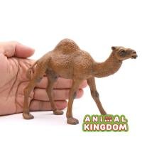 ราคา Animal Kingdom โมเดล Camel อูฐ หนอกเดียว แดง ขนาด 14 50 CM จากสงขลา (16820699424)