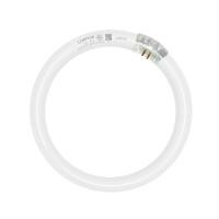 ราคา LAMPTAN หลอดนีออนกลม 32 วัตต์ DAYLIGHT G10Q (22952132453)