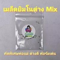 ราคา เมล็ดแคคตัสยิมโนด่าง 50 เมล็ดเพียง 9 บาทเท่านั้น พ่อแม่คัดด่างดี ฟอร์มเด่น ราคาดีงาม (21894330813)