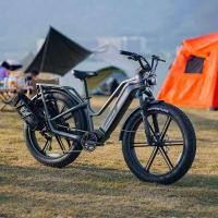 ราคา FIIDO Titan Robust Cargo electric mountain bike 2025 (25471324186)