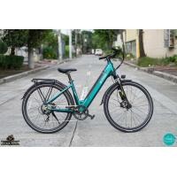 ราคา FIIDO C11 PRO 2025 City Electric Bicycle (25470066881)