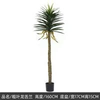 ราคา Dracaena Marginata ต้นจันทร์ผา ต้นไม้มงคลปลอม ต้นดราแคน่า 130 160 ซม ต้นไม้เสมือนจริง ของตกแต่งภายในและภายนอก (22283057162)