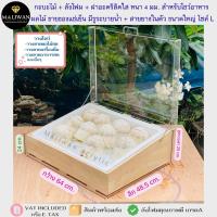 ราคา กระบะไม้ ลังโฟม ฝาอะคริลิคใส หนา 3 มม สำหรับโชว์อาหาร ผลไม้ ขายของแช่เย็น หรือเก็บอาหารอเนกประสงค์ มี 4 ขนาด S M L XL (18850369006)