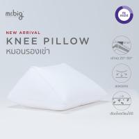 ราคา mr big Knee Pillow หมอนรองเข่า สบายเข่าทั้งในท่านั่งและนอน (25142449615)