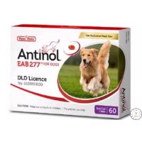 ราคา VETZ PETZ ANTINOL EAB277 FOR DOG 60 CAP (22513449551)