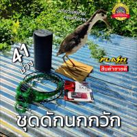 ราคา อุปกรณ์ดักนกกวัก ครบชุดดักนกกวัก มีลำโพง เสียงนกกวักสตาฟ ครืนเเขวน41บ่วง เก็บปลายทางได้ (19479335649)