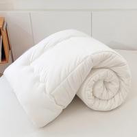 ราคา Dansunreve ขาว ไส้ผ้านวม ไส้นวมโรงแรม ผ้านวม 5ฟุต duvet insert 3ฟุต 5ฟุต 6ฟุต 6 5ฟุต 1 5m 1 8 2 (24996450571)