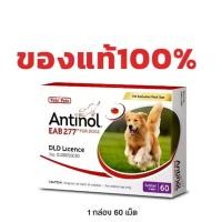 ราคา Antinol DOG ช่วยบำรุงข้อ กระดูก ขน ผิวหนัง และไต 1 กล่อง 60 caps สำหรับสัตว์เลี้ยง (25360717029)