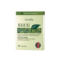 ราคา ชาเขียว EGCG กิฟฟารีน สารสกัดจากชาเขียว ชาเขียวสกัดชนิดแคปซูล (20784375759)