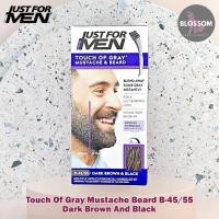 ราคา Just For Men Touch Of Gray Mustache Beard B 45 55 Dark Brown Black สีย้อมหนวด เครา ภายใน 5 นาที พร้อมแปรง (21686336462)