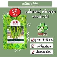 ราคา ส่งด่วน พริกยำขาว พริกหนุ่ม หยกขาว31 ขนาด50กรัม ทนโรค เหี่ยวเขียว เเข็งแรง ผลผลิตดี สีสวย เรียบ มันเงา (25226522863)