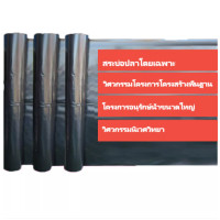 ราคา HDPE ผ้ายางปูบ่อปลา 0 3mm 0 5mm หนา พลาสติกปูบ่อ 2x2M 4x3M 6x8M 8x10M 6x16M ผ้ายางดำปูบ่อ ผ้ายางดำปูบ่อ ผ้าใบรองบ่อปลา พลาสติกโรงเรือน สระน้ำ ผ้าปูบ่อปลาหนา ผ้าใบ ปู บ่อปลา (25365023904)