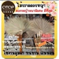 ราคา ไม้กวาดดอกหญ้า รุ่นใหม่ทากาวเคลือบอย่างดี ดอกหญ้าหนาพิเศษ ดีที่สุด (25454110040)